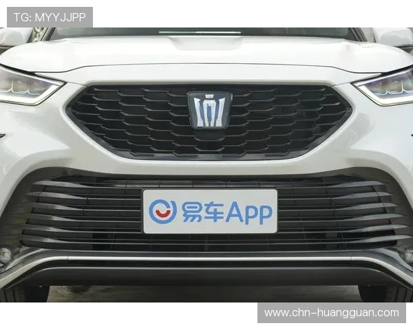 皇冠app官网最新版常见故障排查与解决方案，确保你顺利使用最新版本软件