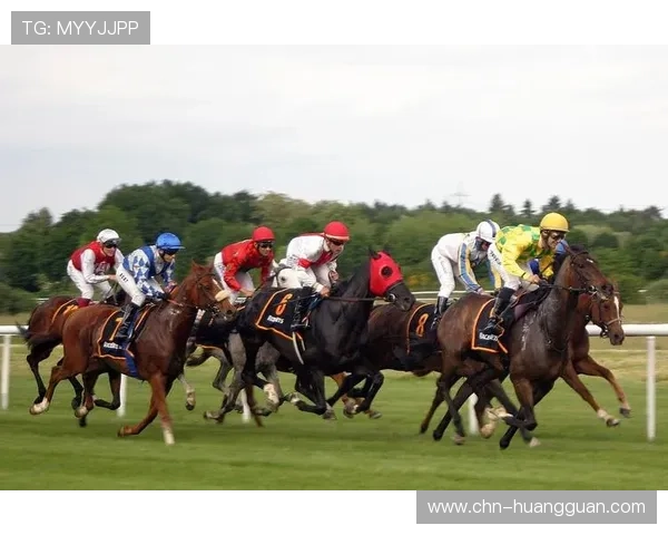 澳门赛马规则对骑师与马匹的具体要求及违规处罚标准介绍